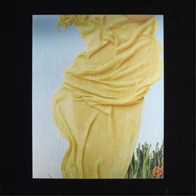 Zak Kitnick "Pasta Primavera" Print 2013