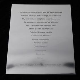 Ana Prvacki "Surfaces for Narcissism" Print