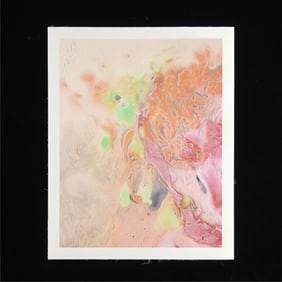Alex Da Corte "Sea Swallow Me" Print 2013