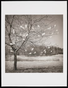 Beth Dow "Bags" Photo Print