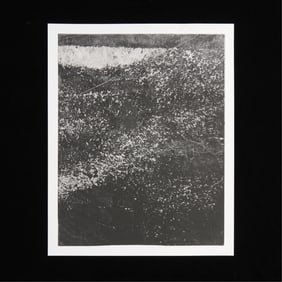 Sam Moyer "East ender" Photogravure 2013