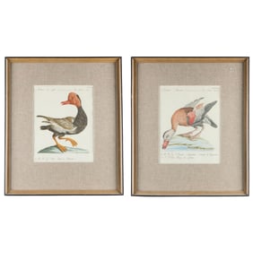 2 Saverio Manetti Handcolored Duck Engravings