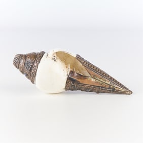 Tibetan Dungkar Shanka Prayer Conch Trumpet