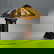 item-211422372=1