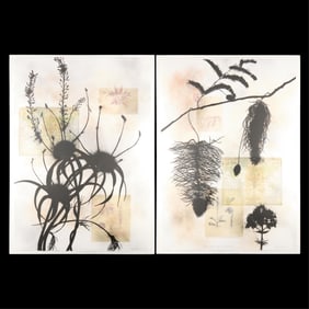 Davidoff "Regiones Botanicas de la Tierra" Diptych