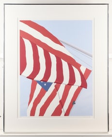 Gretchen Dow Simpson Flags Screenprint