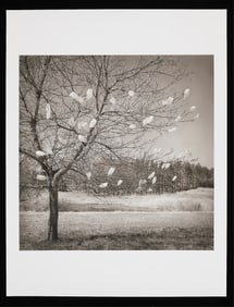 Beth Dow "Bags" Photo Print
