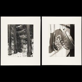 2 Linda Butler GSP Photographs