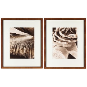 2 Linda Butler "Textile & Foliate" Photographs