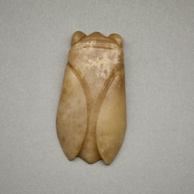 Chinese Carved Jade or Hardstone Cicada Insect Figure