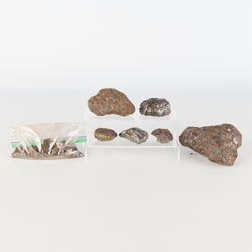 Group Nantan Meteorite Fragments