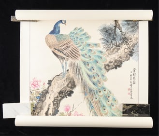 Chinese Peacock Scroll Painting