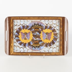 Butterfly Specimen Tray