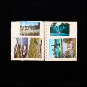 Group Vintage New Zealand Postcards