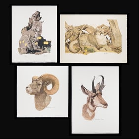 Grp 4 Nick Wilson Animal Illustration Prints