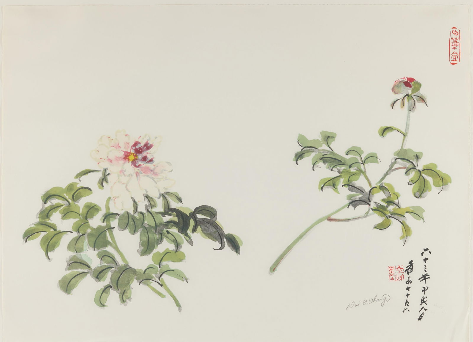 Chang Dai-Chien "Peonies" Print: Zhang Daqian print depicting blossoming branches, likely flowering peonies. Pencil signed, numbered 125/125, and blindstamped along the lower right.Height: 30 in x width: 38 in.