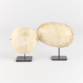 2 PNG Polynesian Bailer Sea Shells on Stands