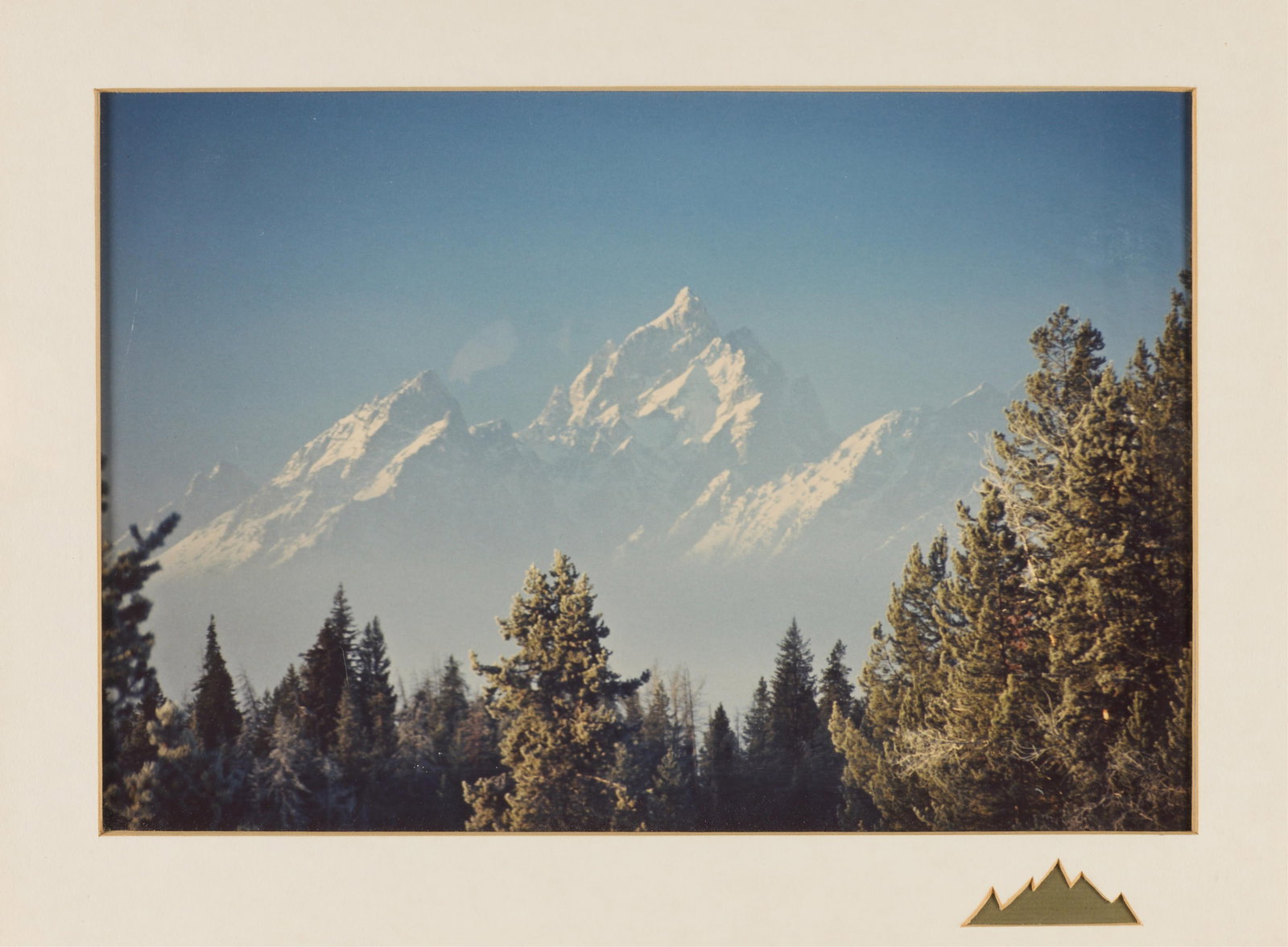 3 Photographs - Forest, Ocean, Flowers (1 of 14)