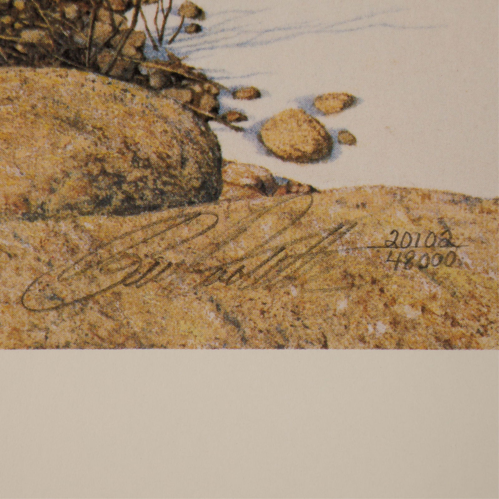 Bev Doolittle "Eagle Heart" Print S/N - 2