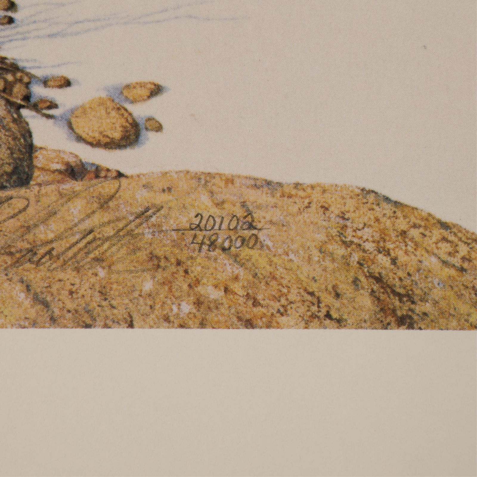 Bev Doolittle "Eagle Heart" Print S/N - 3