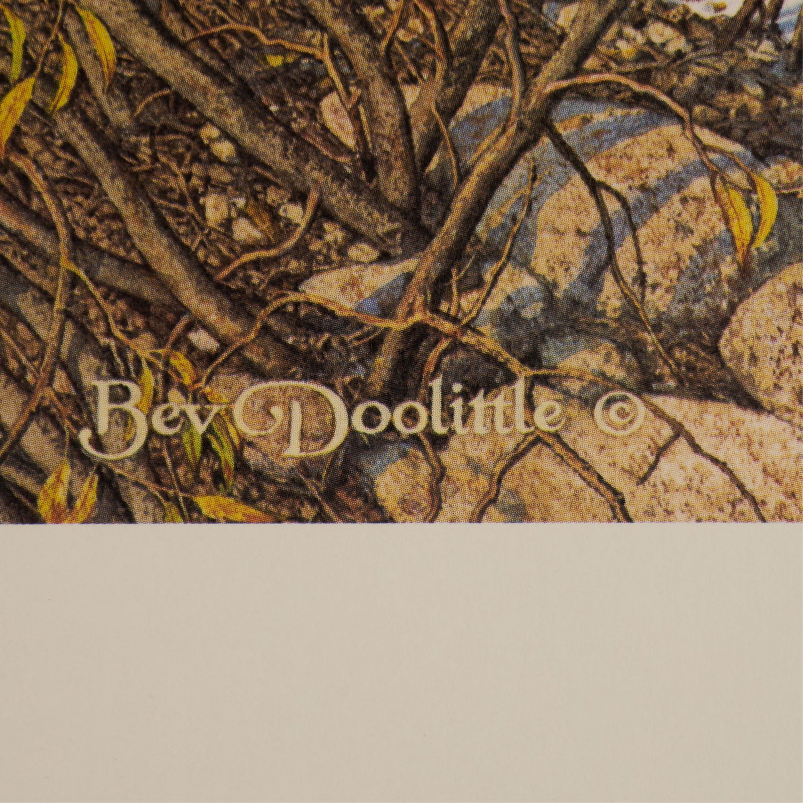 Bev Doolittle "Eagle Heart" Print S/N - 4