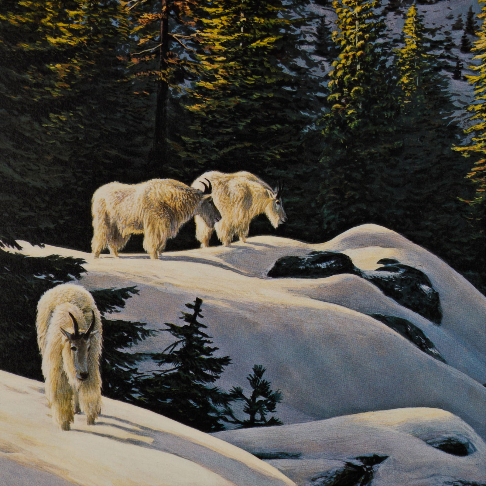 Stephen E. Lyman "High Light" Print 1988 - 4