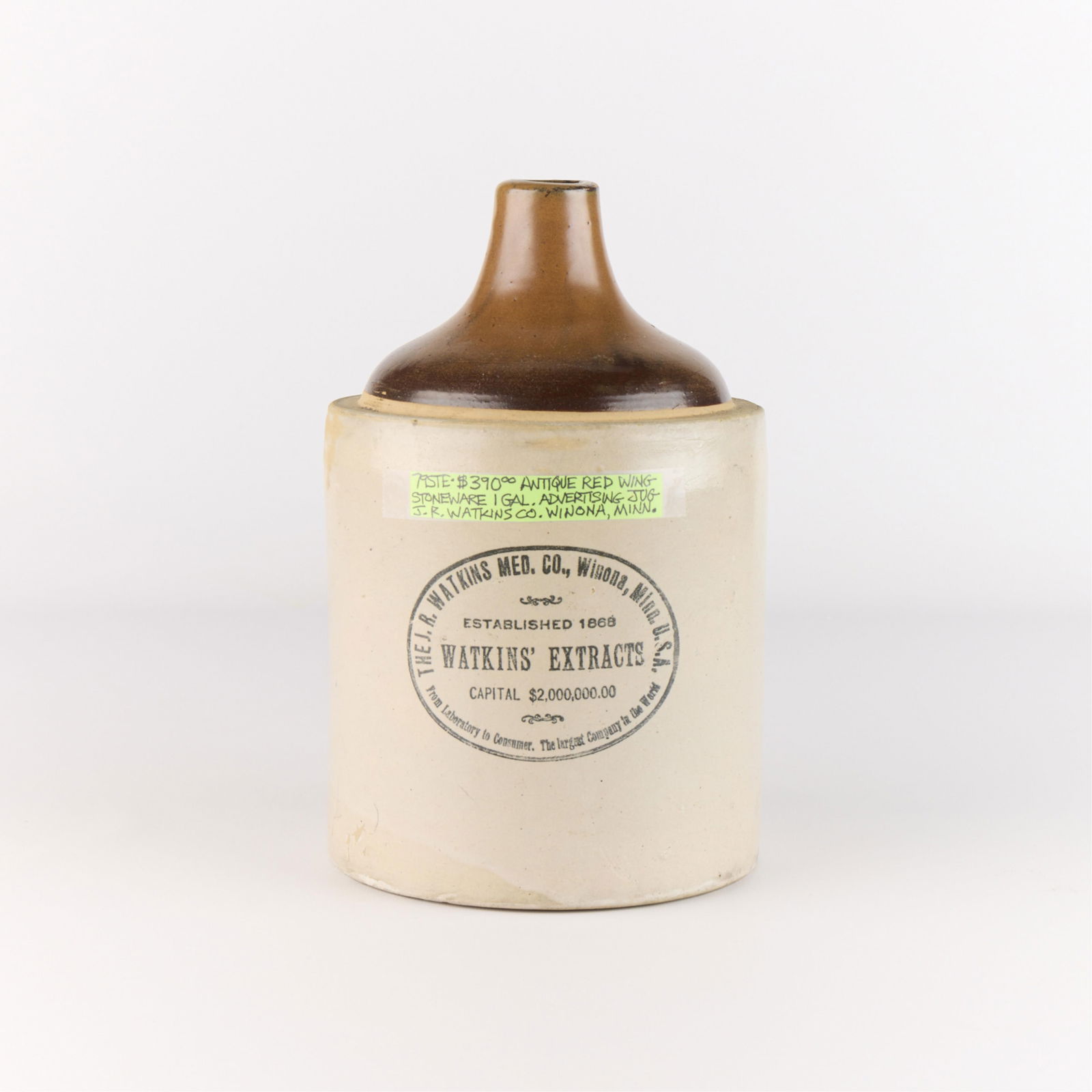 Red Wing Stoneware "JR Watkins" Advertising Jug (1 of 4)