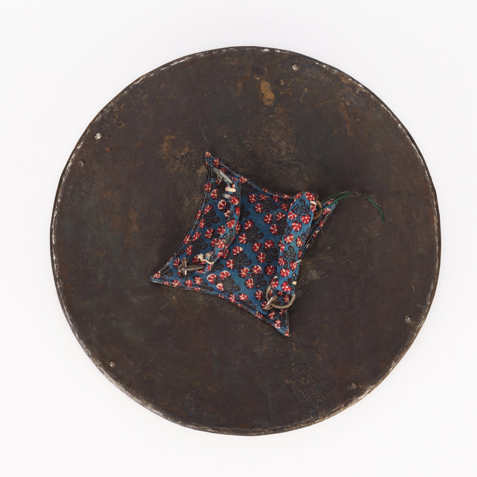 Reproduction Persian Shield - 2