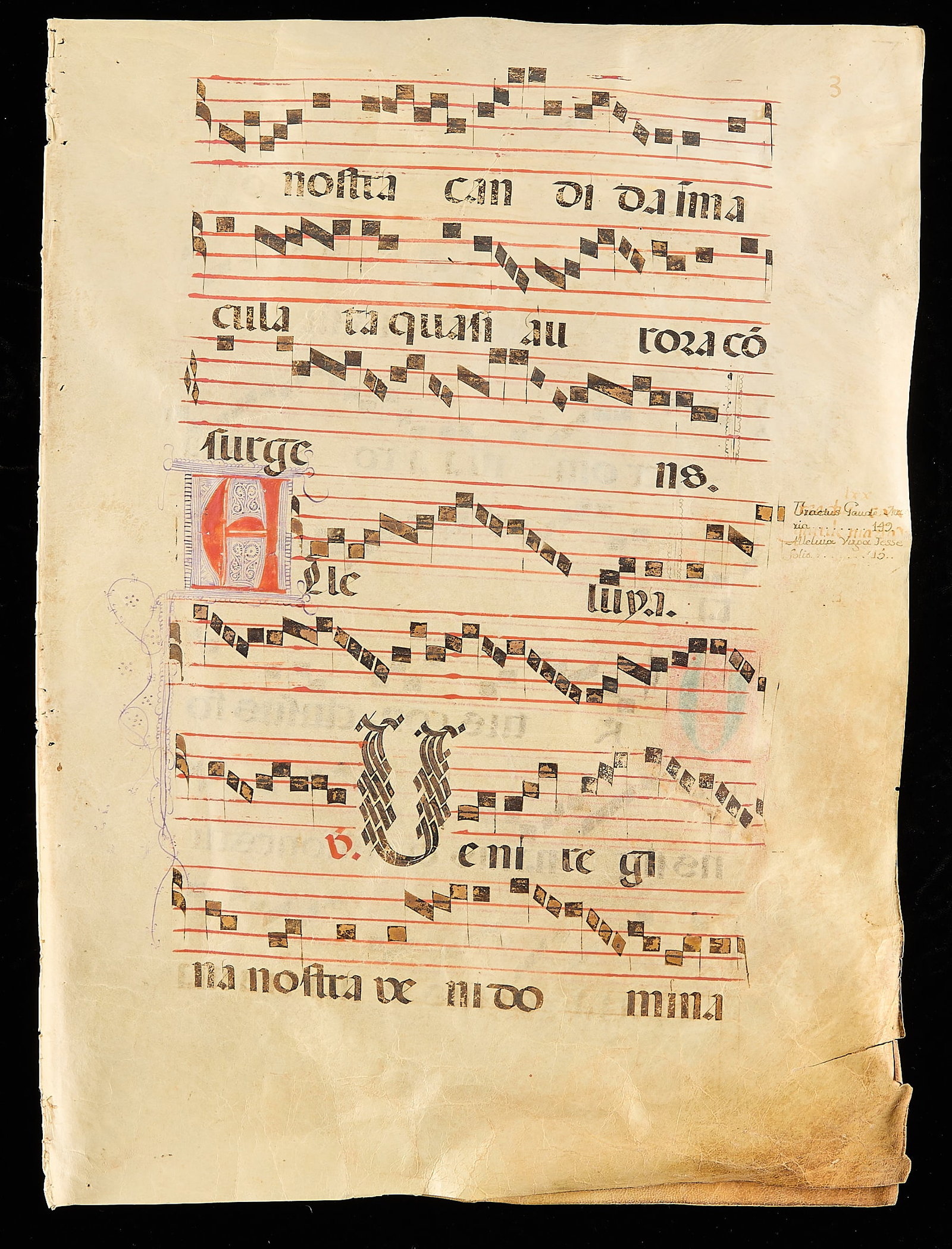 2 Illuminated Antiphonal Manuscript Pages - 2