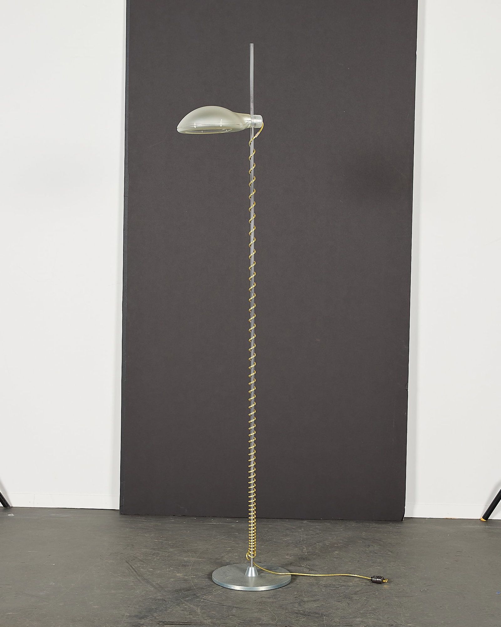 Jasper Morrison for Flos Luxmaster Floor Lamp (1 of 4)