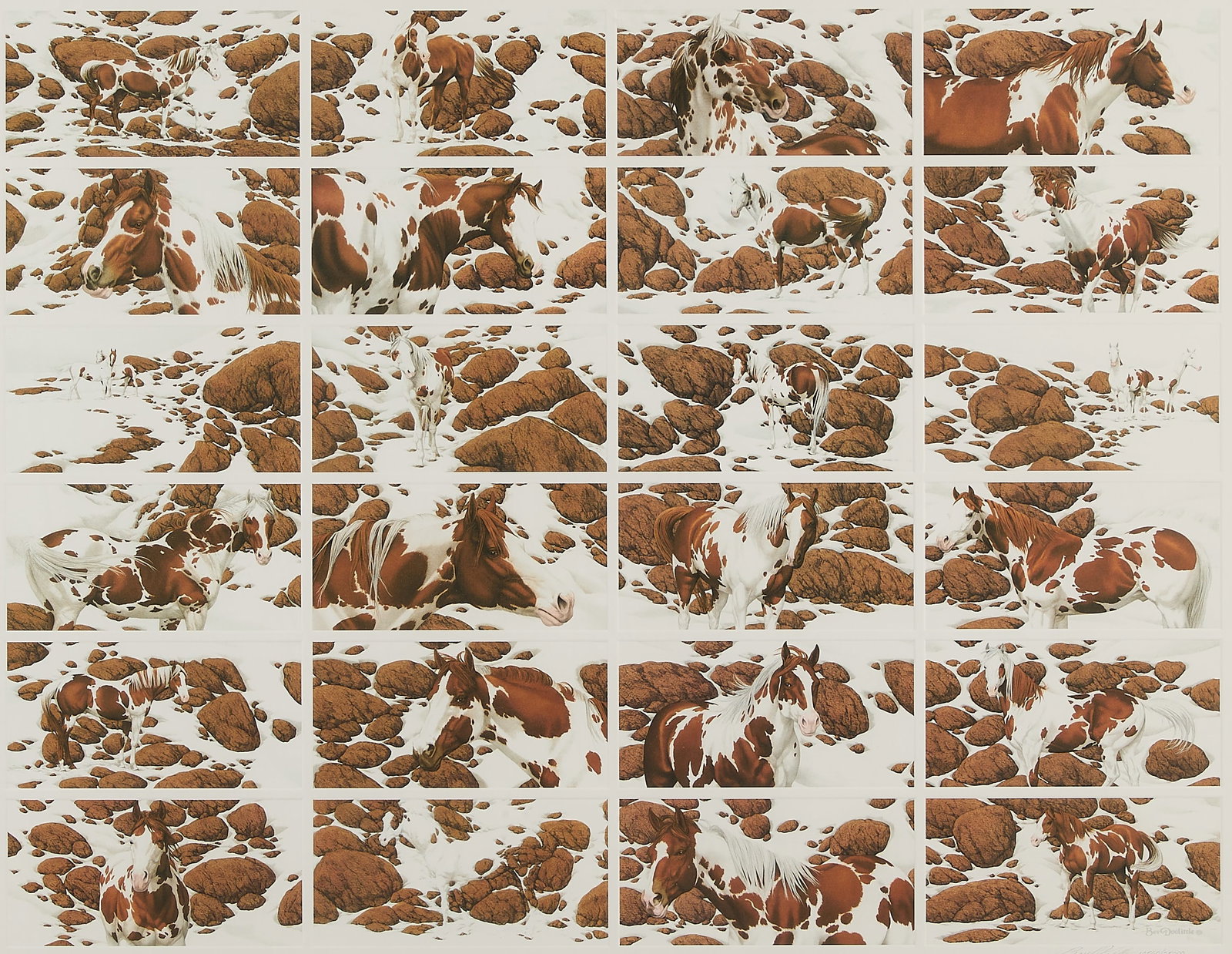 Bev Doolittle "Hide & Seek" S/N Lithograph (1 of 5)