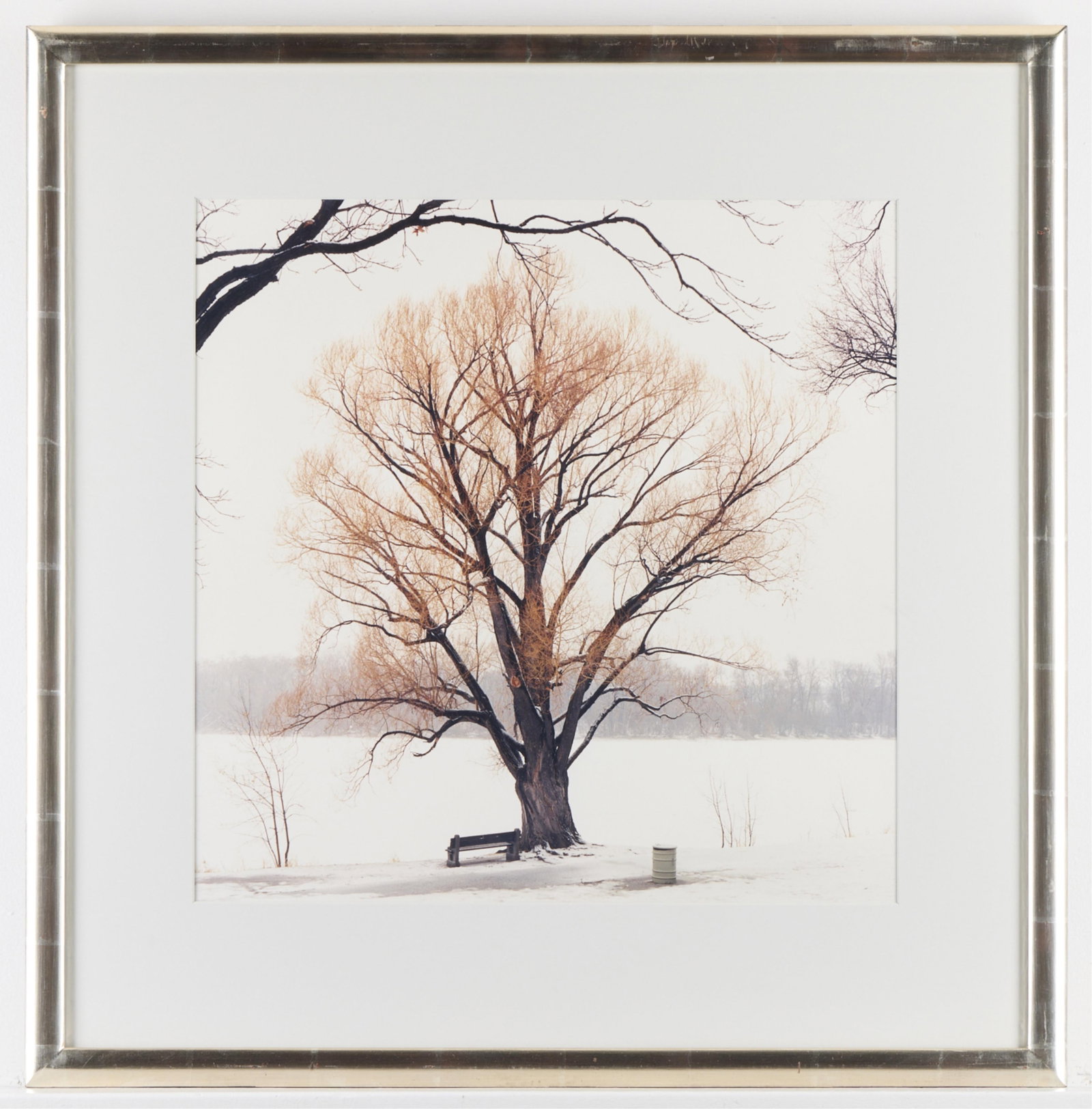 Winter Landscape with Trees Photograph (1 of 3)