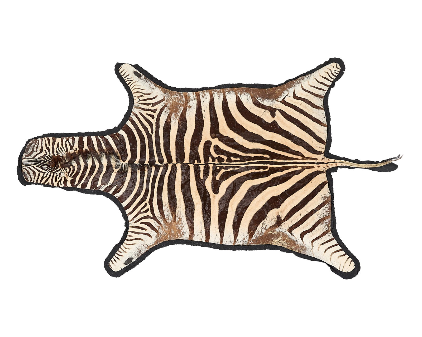 Zebra Skin Rug 10'10" x 6'8" (1 of 7)