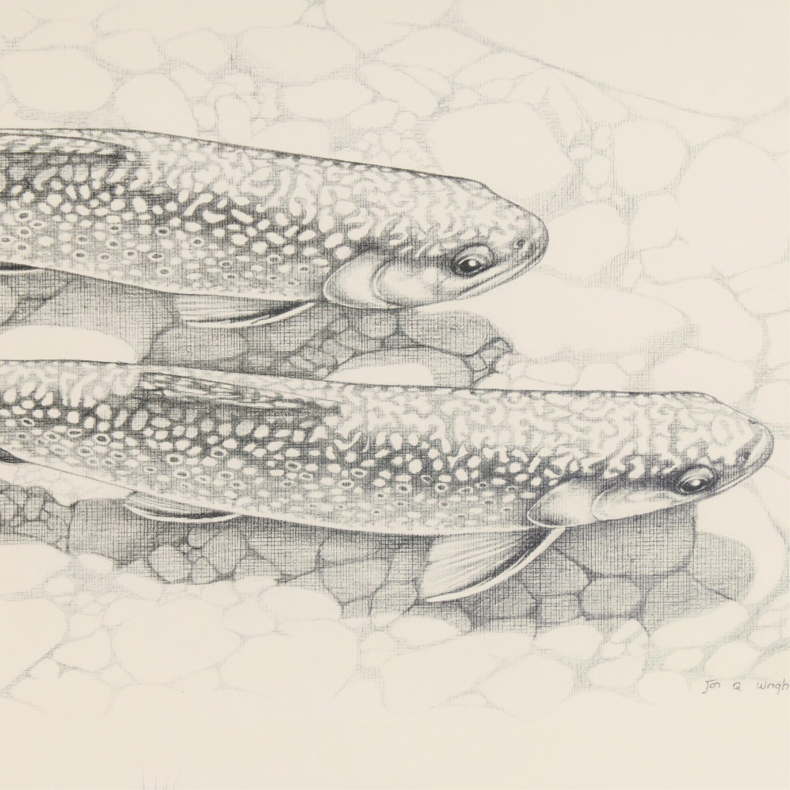 Jon Q. Wright Brook Trout Lithograph 1985 - 4