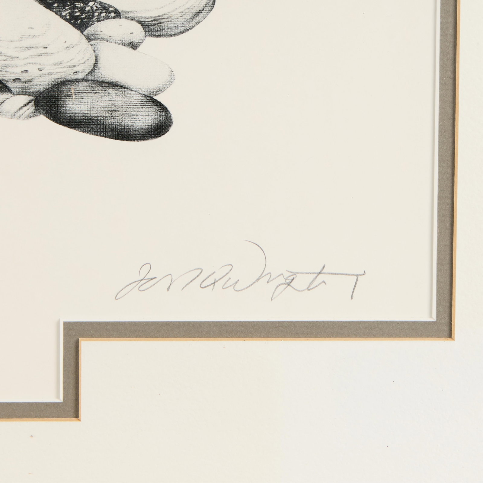 Jon Q. Wright "Rainbow Trout" Print 1985 - 2