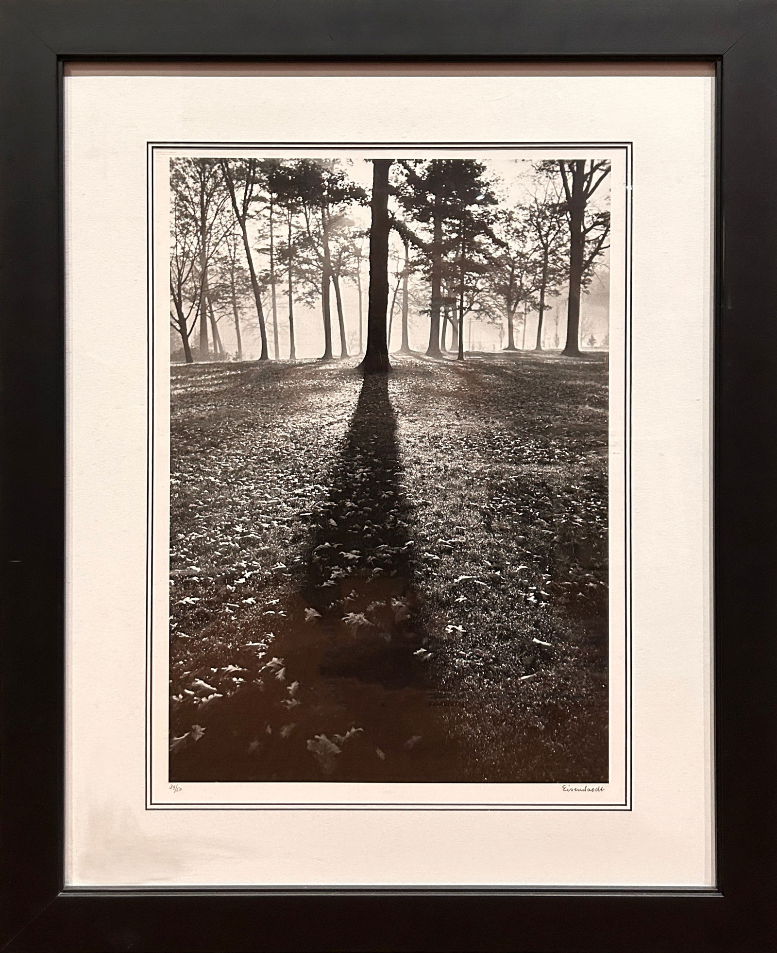 Alfred Eisenstaedt (1898 - 1995) "Shadows in the Forest", Autumn 1937: Alfred Eisenstaedt "Shadows in the Forest"; Framed: 27.5 x 21.5"; Unframed: 19" x 13"; photograph (limited); #39/50, signed lower right; Printed 1979 Alfred Eisenstaedt was born in Dirshau (Tczew) in