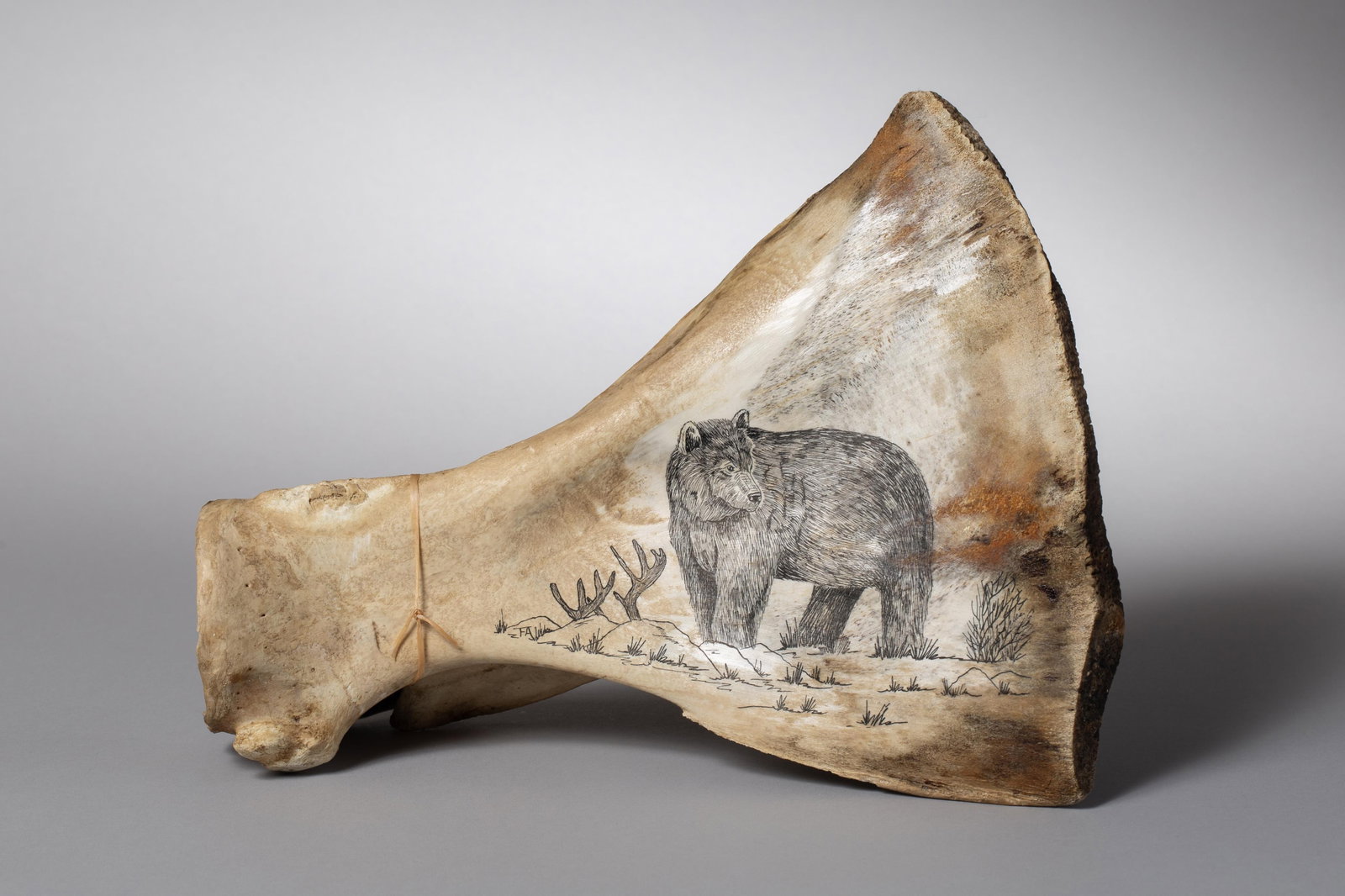 Dan Nelsen (Ojibwe), Incised Bear Blade (1 of 3)