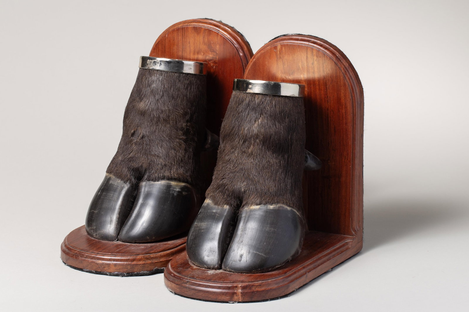 Vintage Cape Buffalo Hoof Bookends (1 of 3)