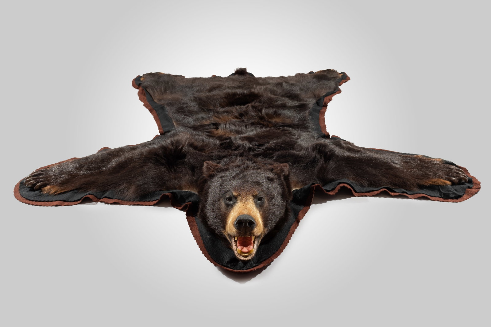 Black Bear Hide Rug (1 of 3)