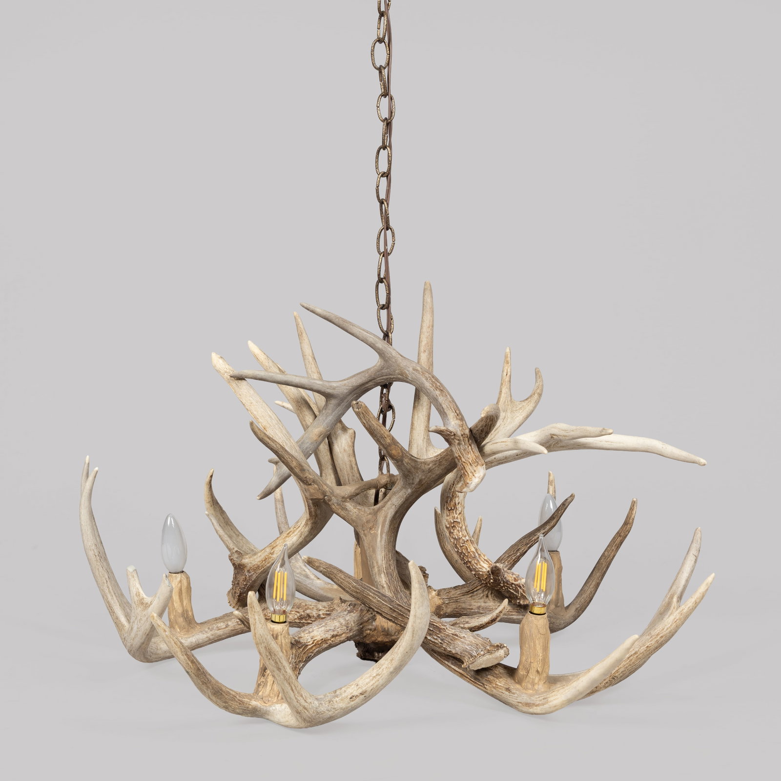 Antler Chandelier (1 of 3)