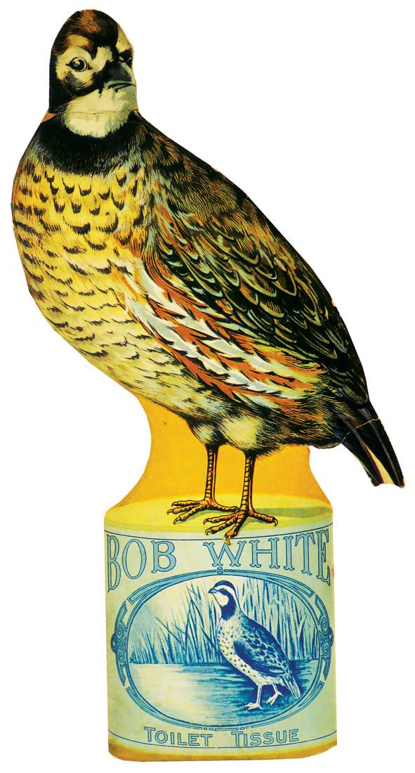 Bob White Toilet Tissue Die Cut Cardboard Sign: Bob White Toilet Tissue Die Cut Cardboard Sign. Excellent graphics with minor paper loss at bottom edge, repairs at neck and tail feather. 8 X 16 inches.