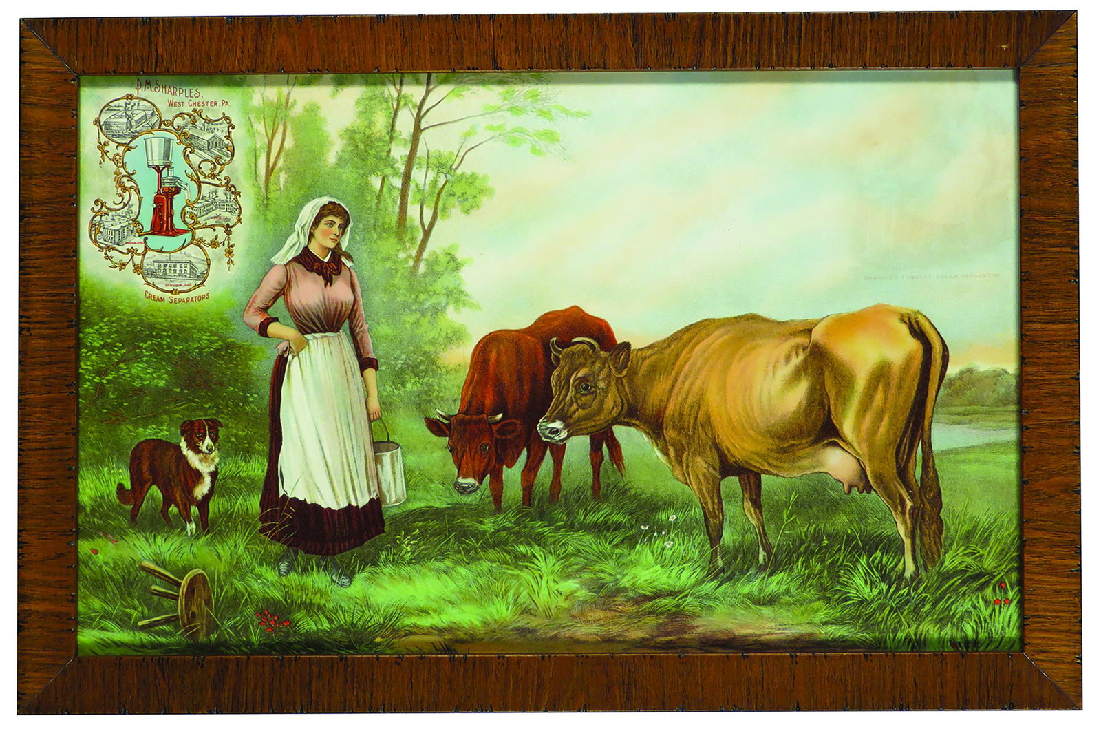 P.M. Sharples Cream Separators Advertising Sign: P.M. Sharples, Cream Separators, Advertising Sign. Depicting milk maid with collie and cows, vignettes of factory and machine in top left corner. Excellent condition. Framed under glass. 20 1/2 X 13 1