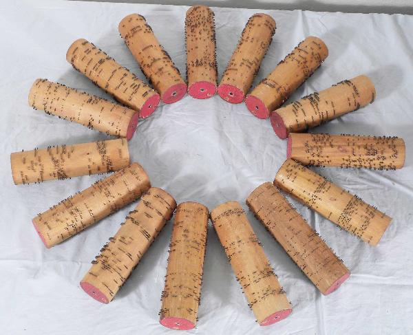 Lot of 15 original cobs for the Gem Roller Organ: Lot of 15 original cobs for the Gem Roller Organ. Excellent original condition.