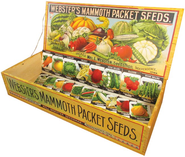 Webster's Mammoth Seeds Wood Display Box: Webster's Mammoth Packet Seeds Wood Store Display Box. Original paper labels on front and interior lid. Comes with dozens of NOS seed packet sleeves A-Z any vegetable you can imagine. Tear at crack in