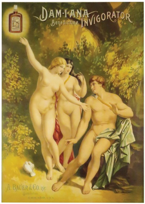 Dam-I-Ana Benedictine Invigorator Paper Sign (1 of 2)