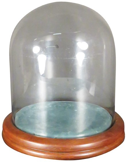 Antique Glass Display Dome (1 of 1)