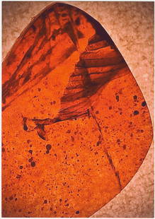 Dinosaur feather in amber: Burmese amber containing dinosaur feather showing clear feather vanes, from the era where dinosaurs were the predominant feather-bearing creatures. Extremely rare. Upper cretaceous period, c. 99 milli