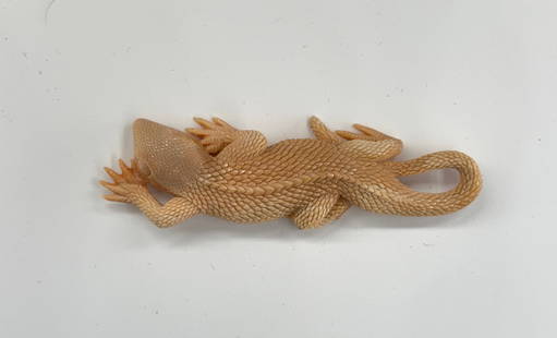 Incredible lizard carving: Incredible tiny lizard carving, probably from fossilized walrus ivory. Look at the miniscule details! One toe missing. Circa 1995. Probably Native American 1 Oz, 3.5" long by 1" wide.