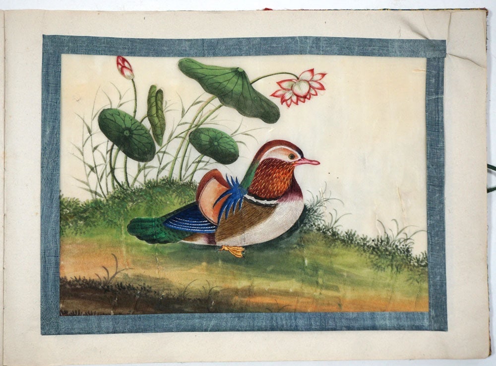 A twelve-leaf album of Chinese export paintings of Birds. (1 of 13)