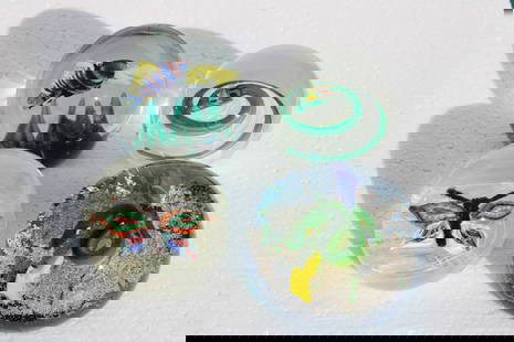 Four Italian Murano Glass Paperweights, Fish, Butterfly: Four Italian Murano glass paperweights. There's a butterfly, snake, fish and an eel. They range from 2.5" - 3.5" high and 3.25" - 4" diameter. Two paperweights have partial decals. Made in Italy Muran